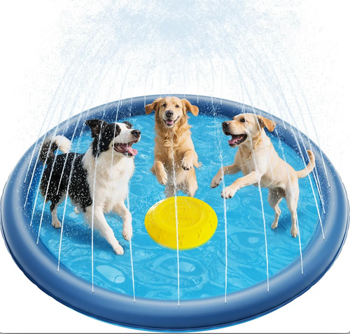 Splash Sprinkler Pad